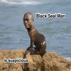 Suspicious Black Seal Man Suspicious Black Seal Man