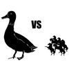 Horse-Sized Duck Horse-Sized Duck