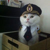 Captain Kitteh Captain Kitteh