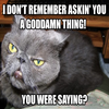 Samuel L. Jackson Cat Samuel L. Jackson Cat
