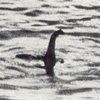 Loch Ness Monster Loch Ness Monster