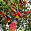 Yarn Bombing Yarn Bombing