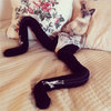Cats Wearing Tights Cats Wearing Tights