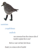 The Science Side of Tumblr The Science Side of Tumblr