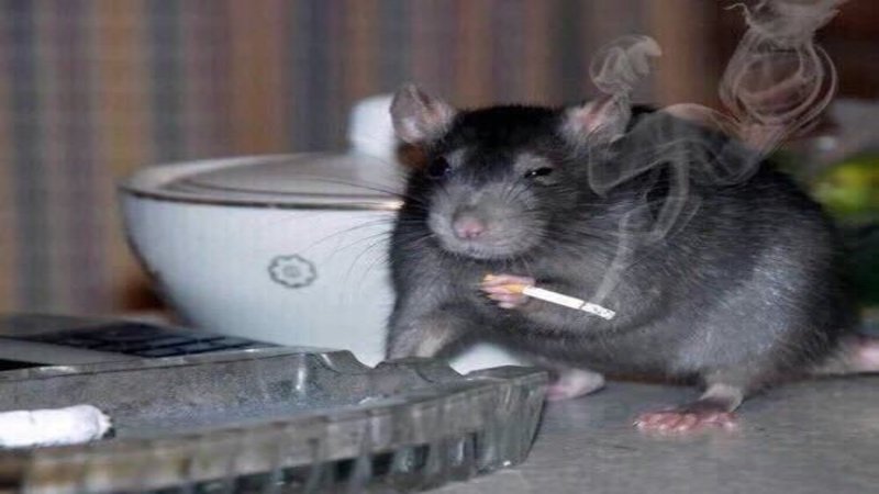 I Haven't Heard That Name in Years
