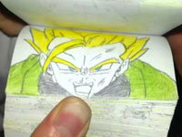 Dbzflip