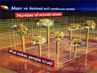 Animals
