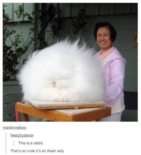 Asian-lady