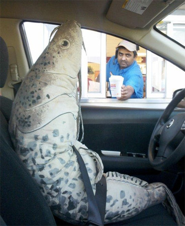 Fish-drivethru