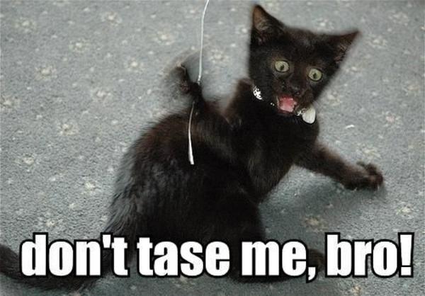 [Image - 507] | Don't Tase Me Bro! | Know Your Meme