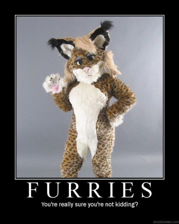 [Image 7865] Furries Know Your Meme