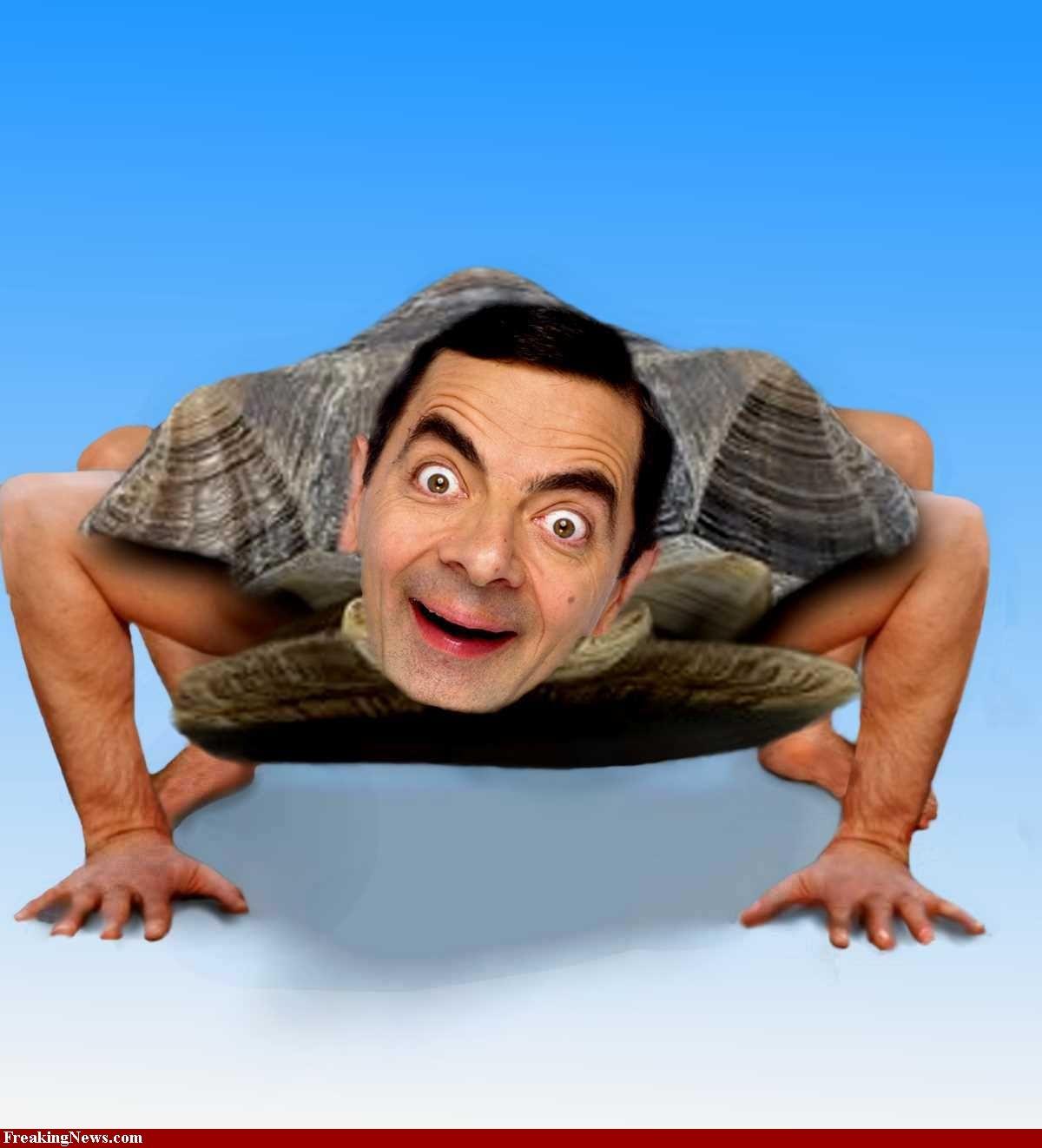 J'adore Mr. Bean Mr-Bean-Turtle-31706