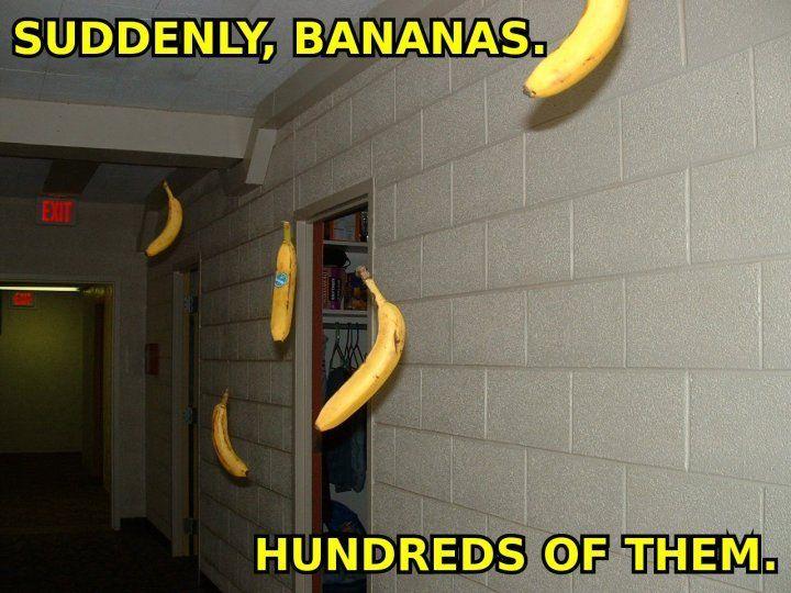[Image 51278] Suddenly, Bananas! Thousands Of Them! Know Your Meme
