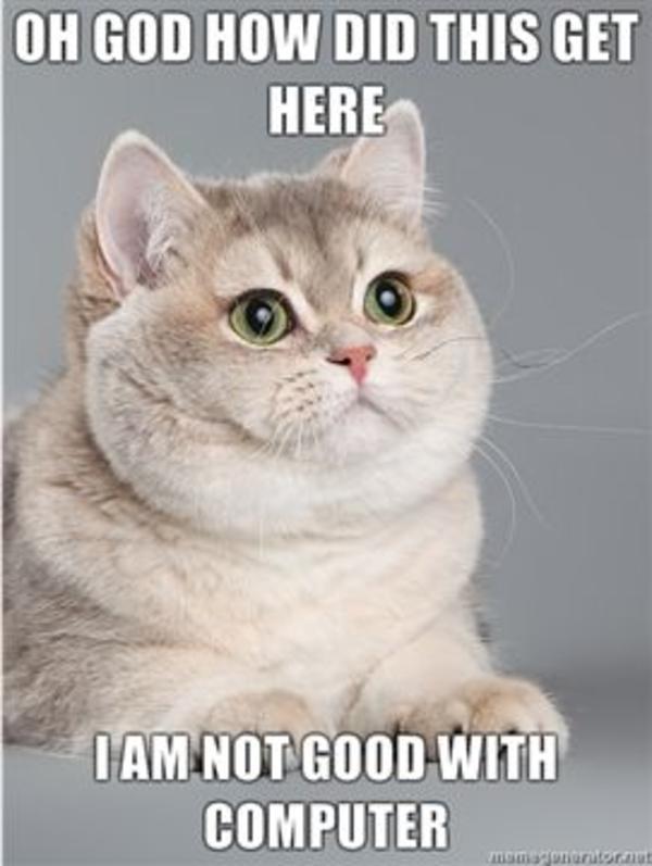 [Image 114878] Oh God How Did This Get Here I Am Not Good With