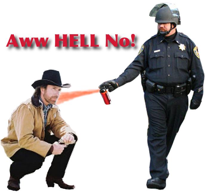 [Image 204868] Casually Pepper Spray Everything Cop Know Your Meme