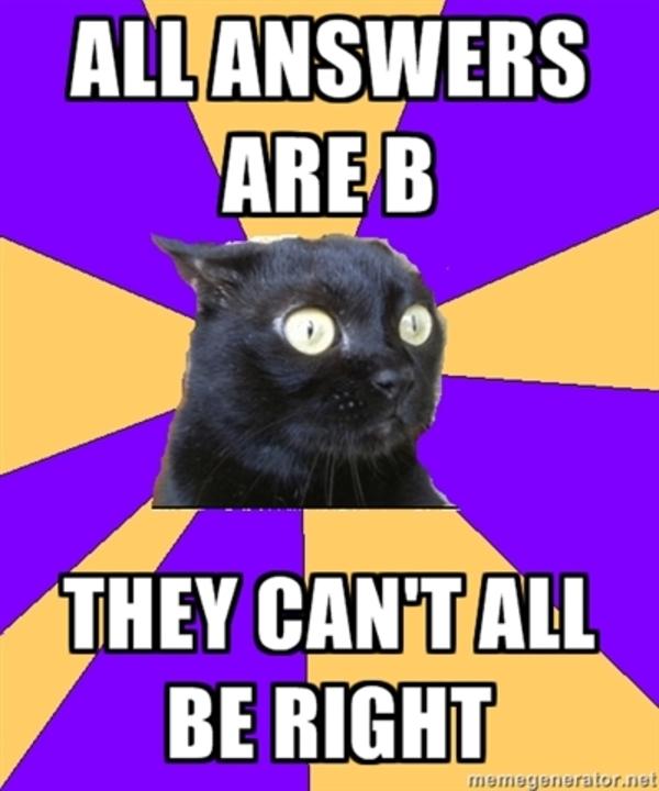 [Image 221889] Anxiety Cat Know Your Meme