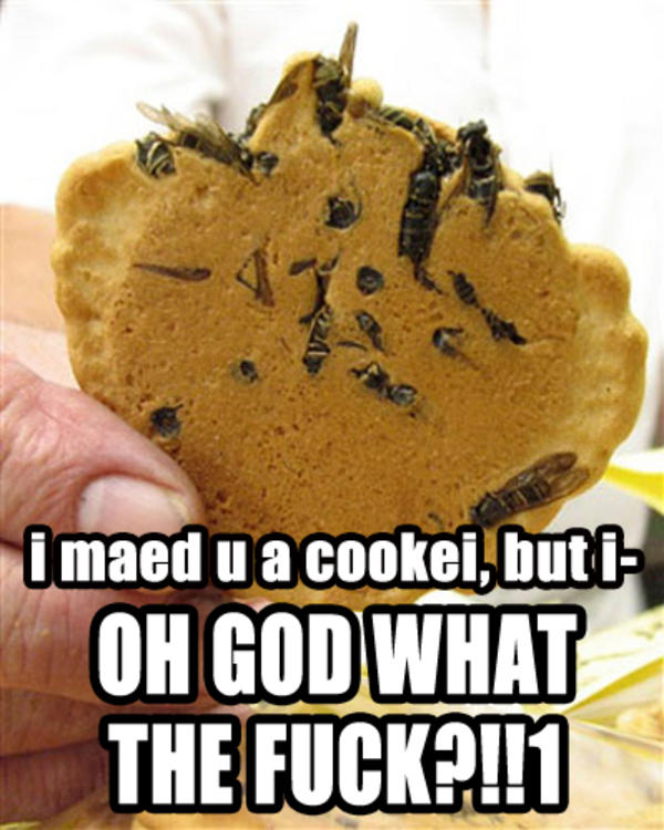 [Image 234496] I Made You a Cookie, But I Eated It Know Your Meme
