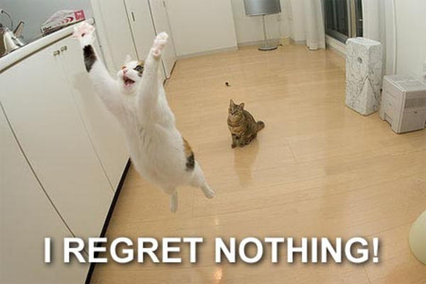 Image result for no regrets meme