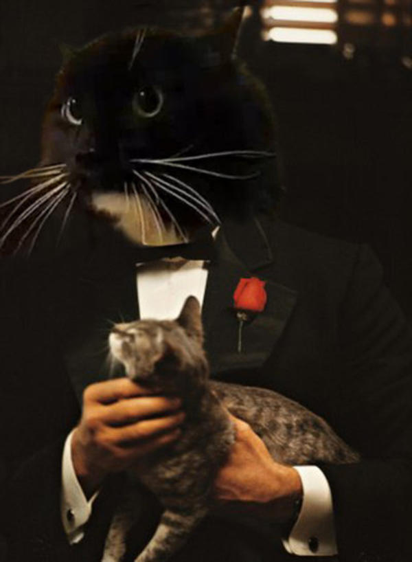 [Image 276819] Oh Long Johnson Know Your Meme