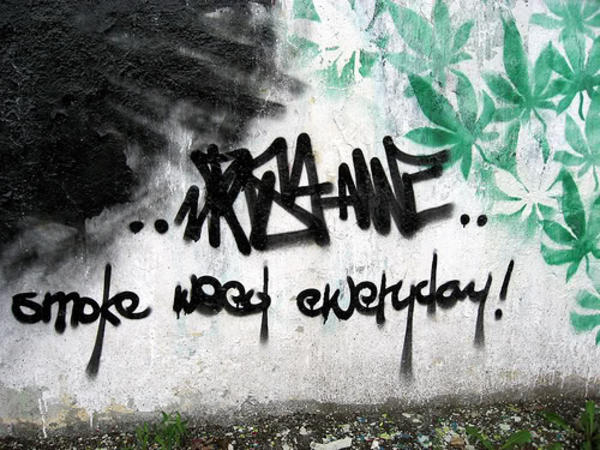 Game Of Thrones Smoke Weed Everyday Spongebob yzcqbbhu dns2 us