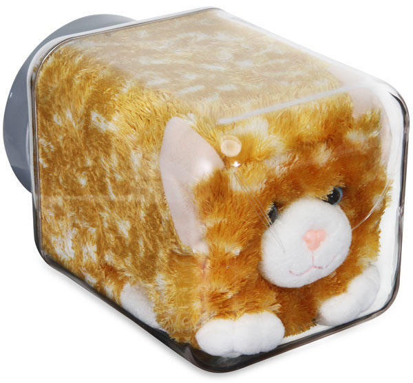 [Image 354802] Bonsai Kittens Know Your Meme