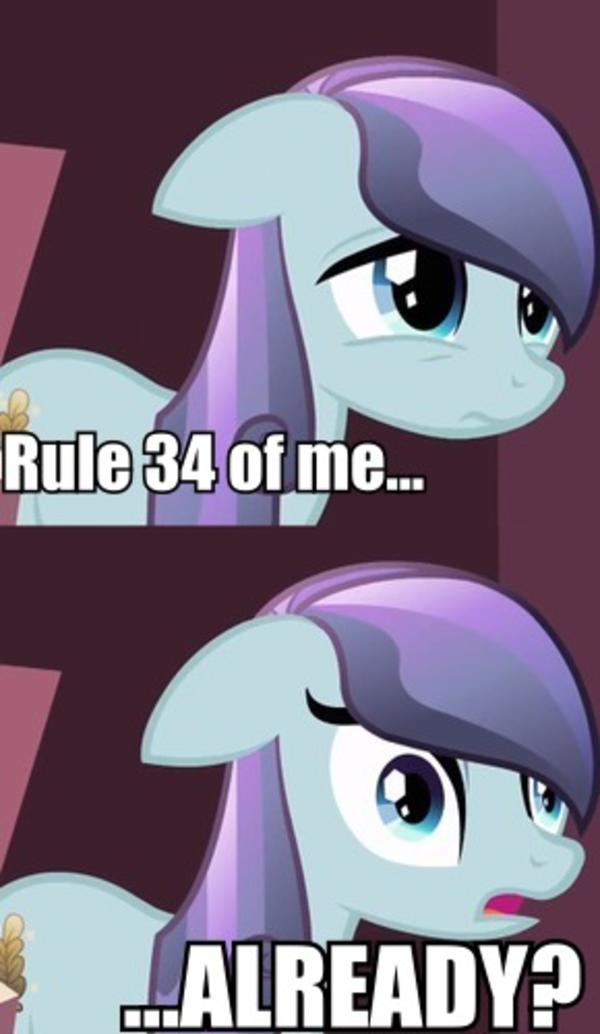 rule 34 my little pony rule 34 my little pony