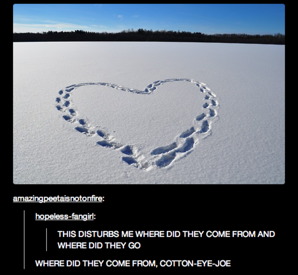 Cotton eye joe Tumblr Know Your Meme