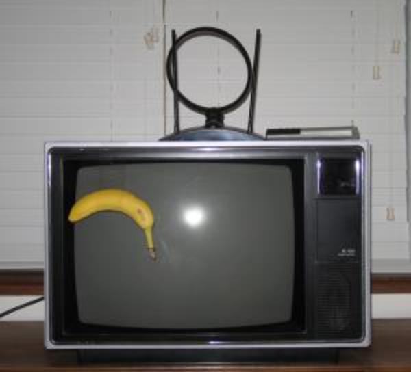 Banana Origin Banana For Scale Know Your Meme