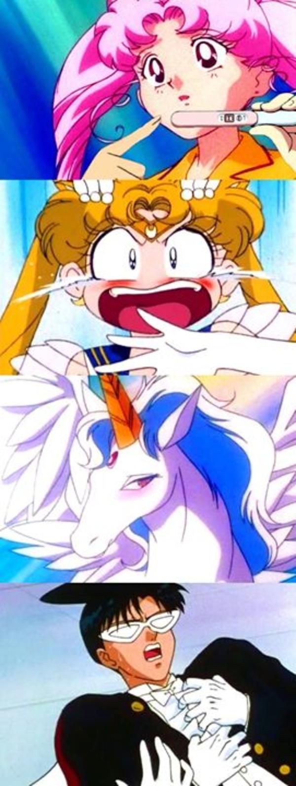 [Image 876231] Sailor Moon Know Your Meme