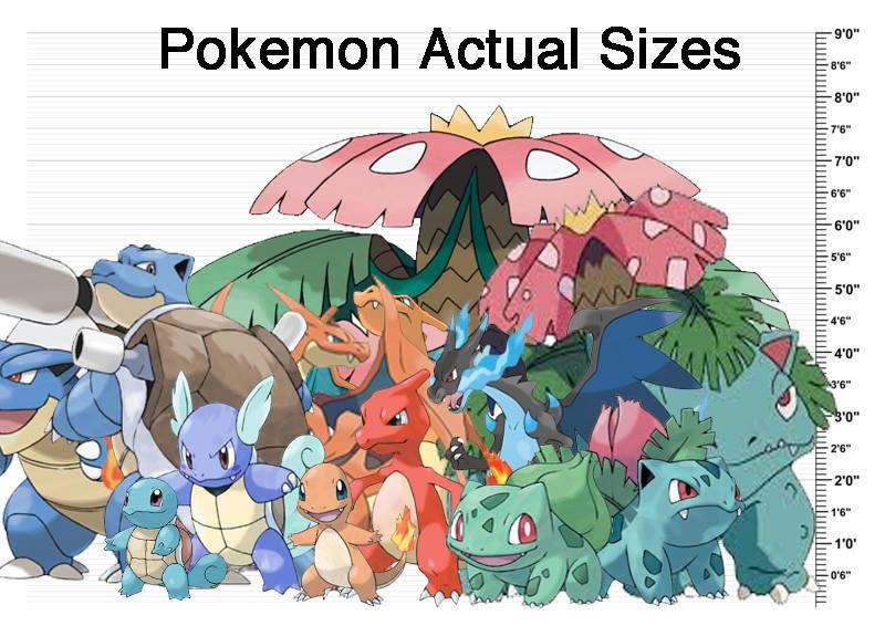 Pokemon SIzes Pokemon Know Your Meme