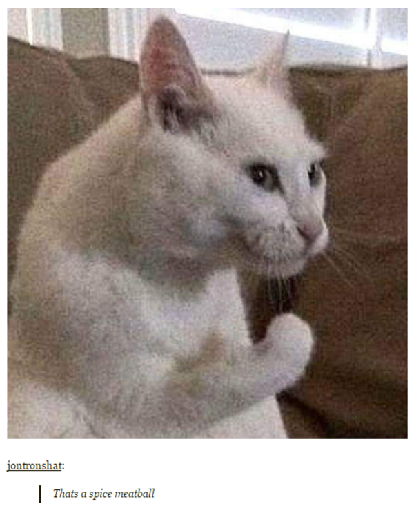 mama mia that's a spicy meatball | Cats | Know Your Meme