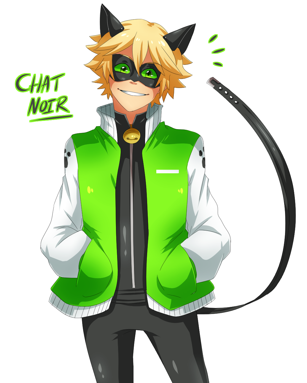 Miraculous Chat Noir Miraculous Chat Noir