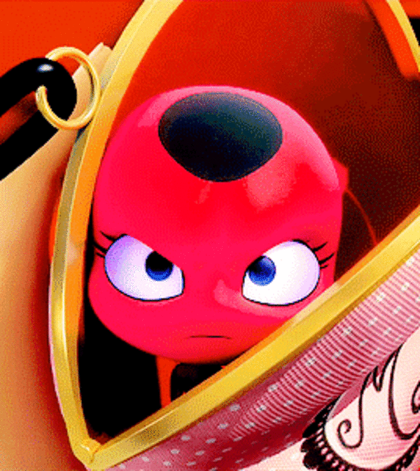ladybug essay ladybug essay
