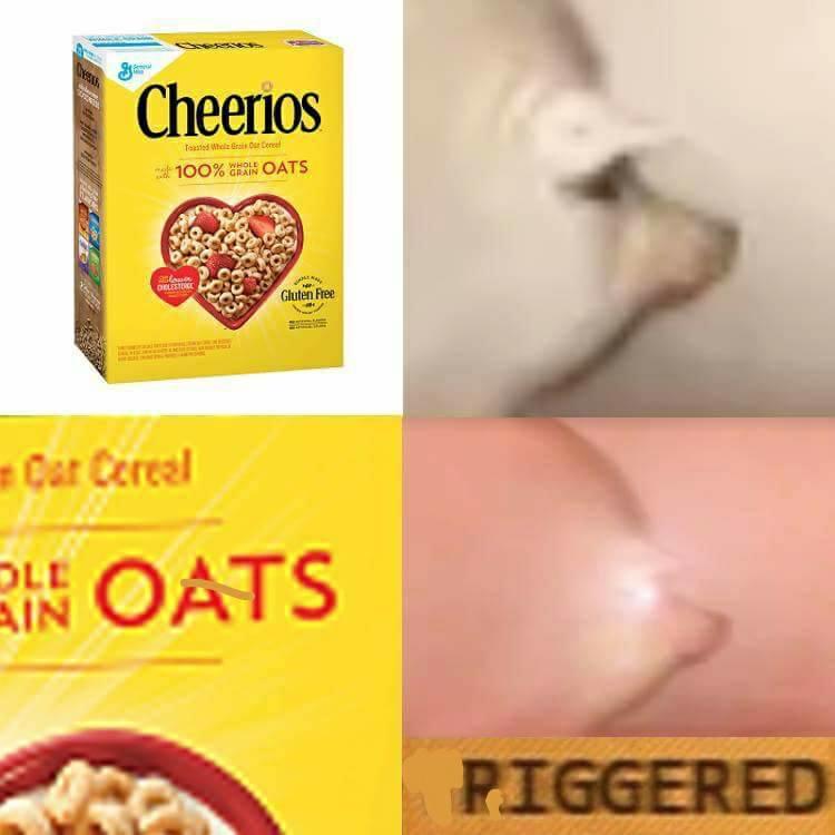 research paper on oats research paper on oats