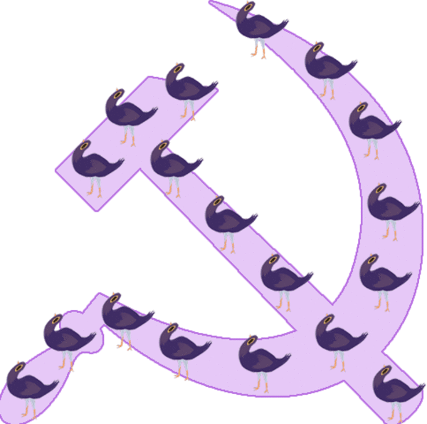 Trash Dove Trash Doves Know Your Meme