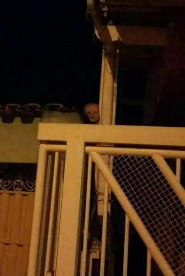 Creepy baby doll head, the best security system Nightmare Fuel Know