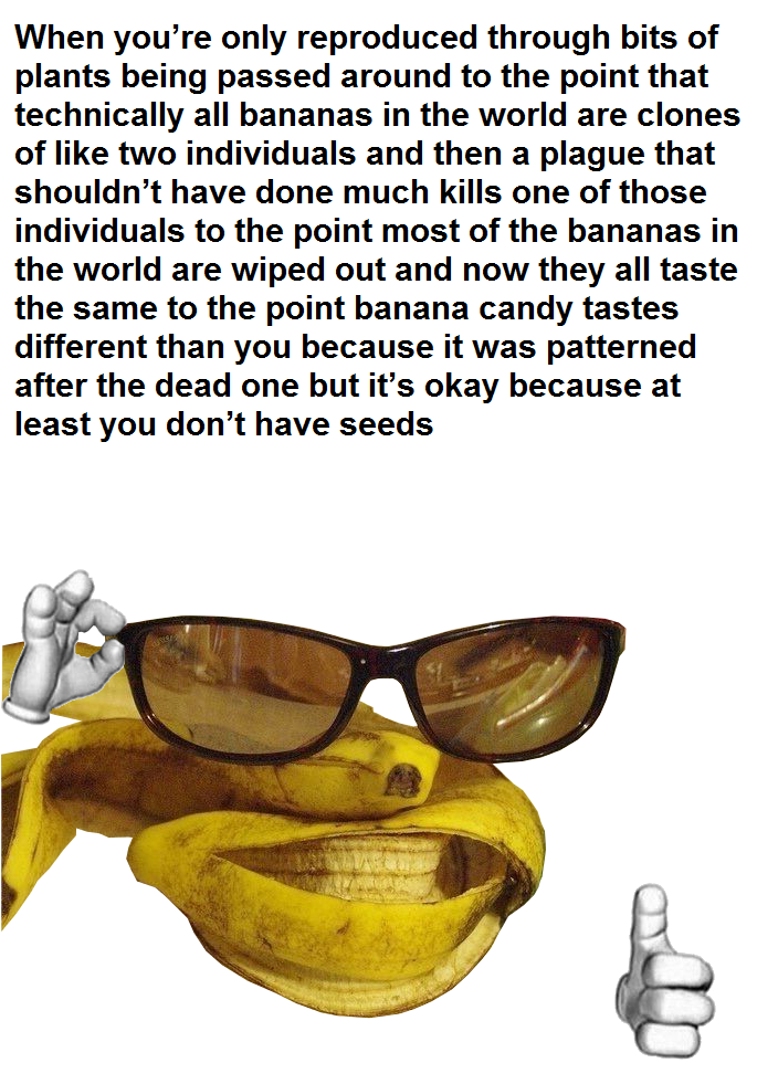 banana peel Picardía Know Your Meme