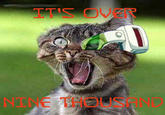 It's Over 9000!