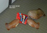 Om Nom Nom Nom