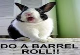Do A Barrel Roll