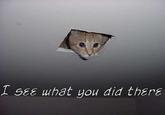 I See What You Did There