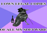 Rich Raven