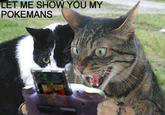 My Pokemans, Let Me Show You Them
