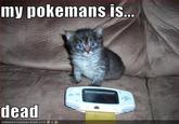 My Pokemans, Let Me Show You Them