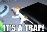 It's A Trap!