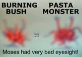 The Flying Spaghetti Monster