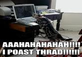 LOLcats