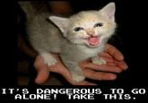 It's Dangerous to Go Alone! Take This