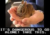 It's Dangerous to Go Alone! Take This