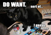 Do Want / Do Not Want